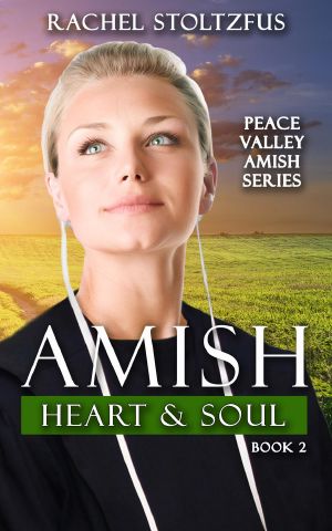 [Peace Valley Amish 02] • Amish Heart and Soul